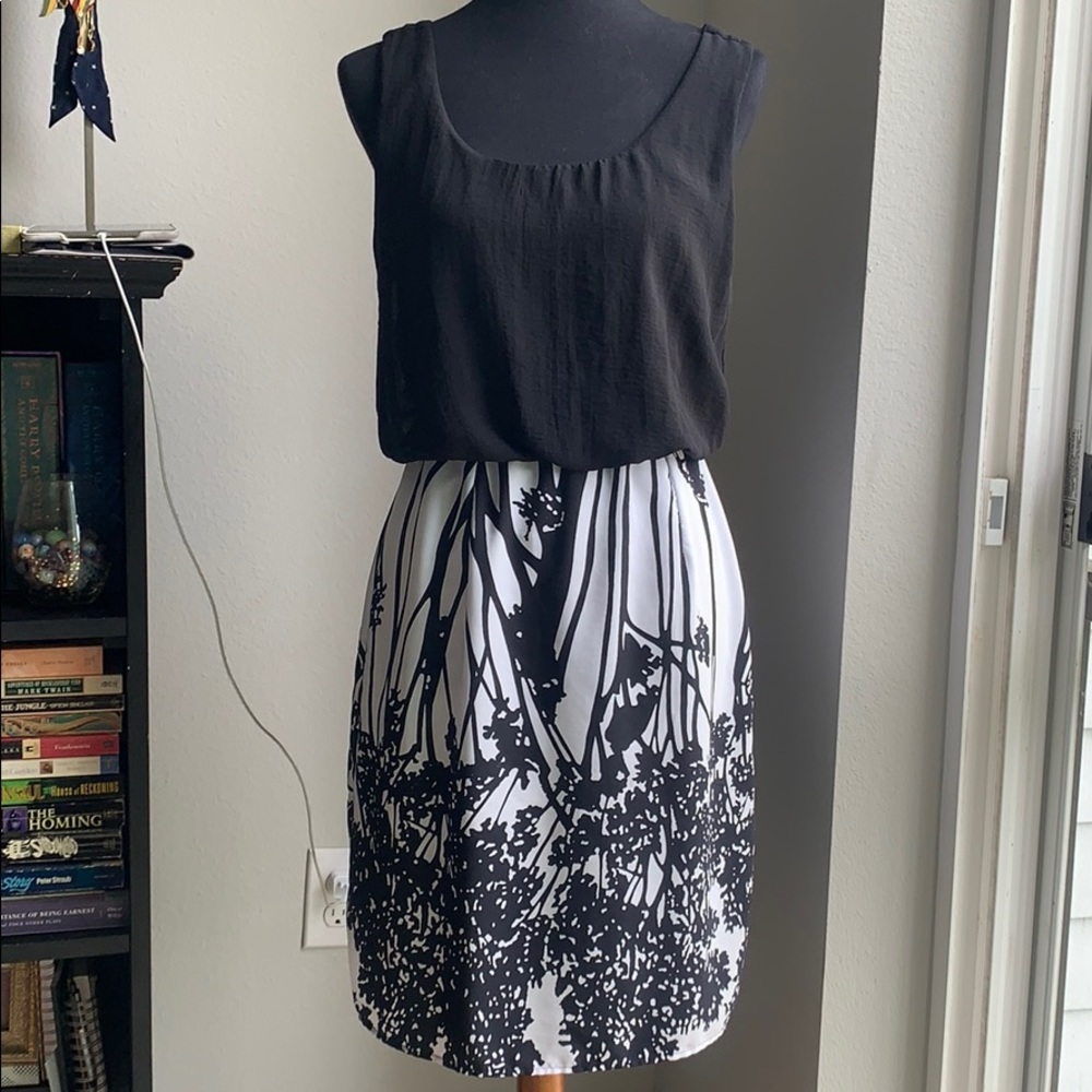 Black and White Pencil Skirt Dress